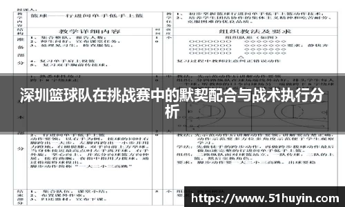 深圳篮球队在挑战赛中的默契配合与战术执行分析
